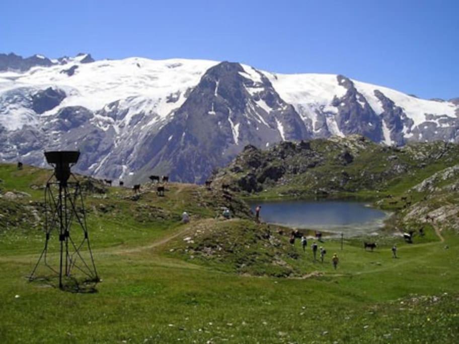 At Foot Of Mont Blanc 2 P Appartement